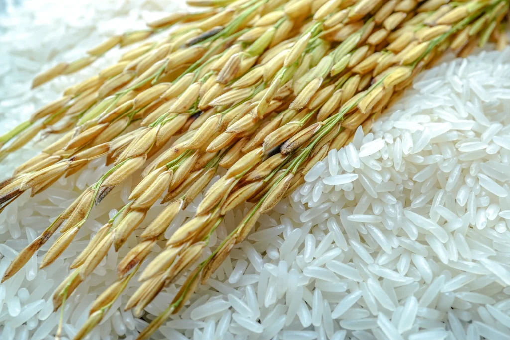 Long grain rice