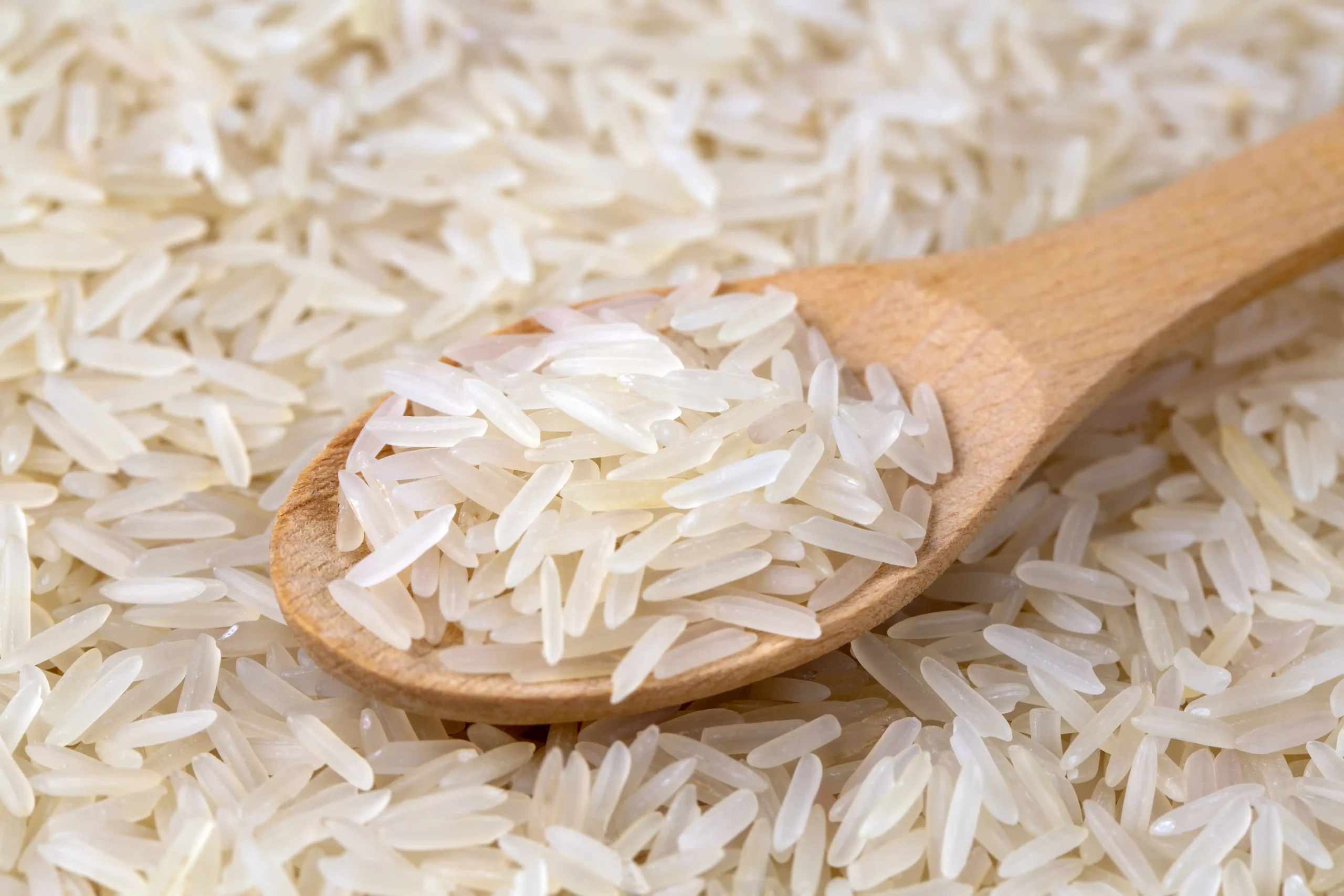 California Rice