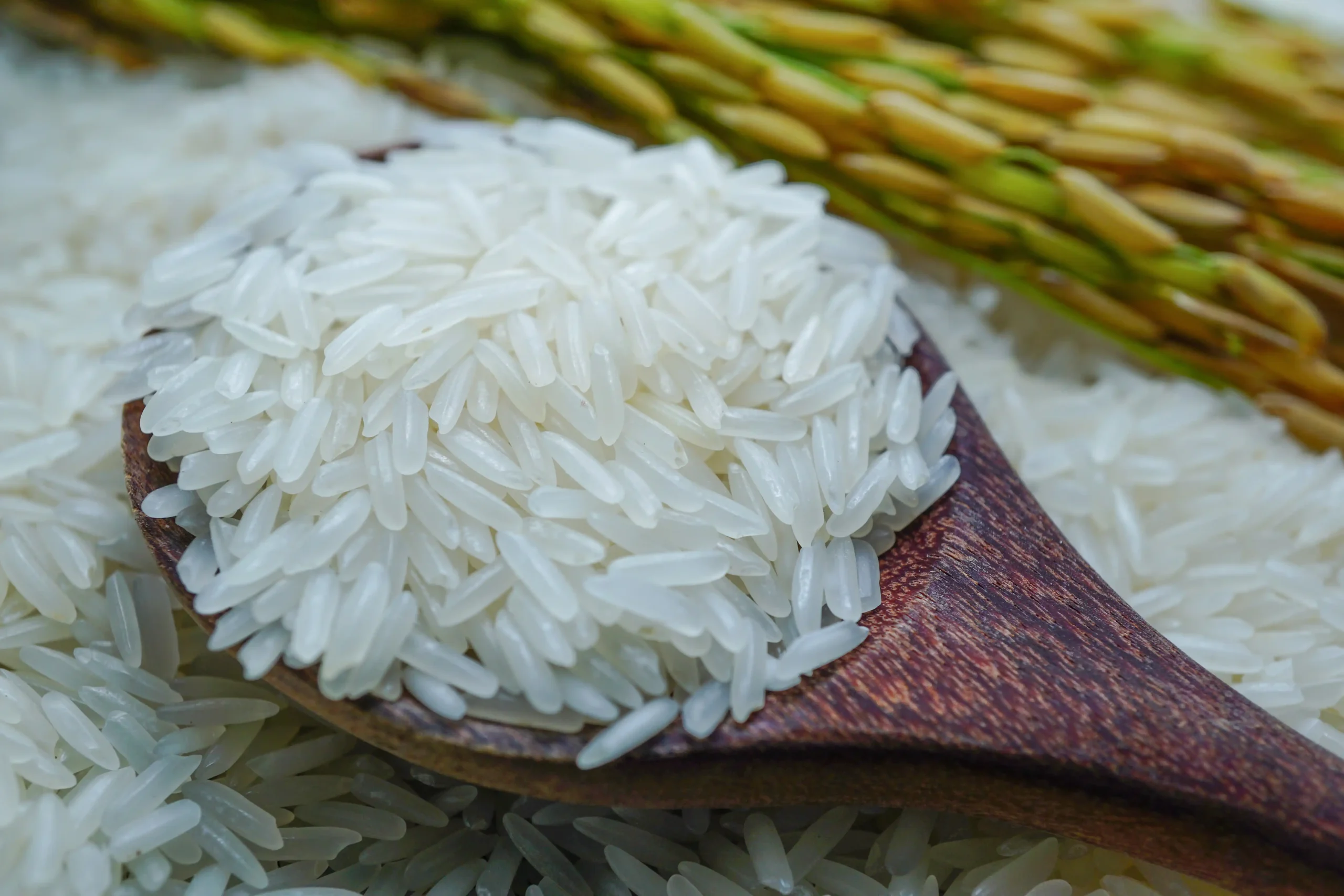 Indian rice