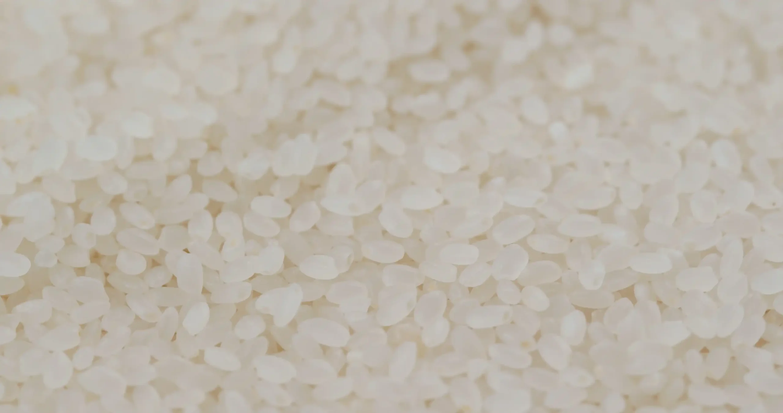 What is calrose rice