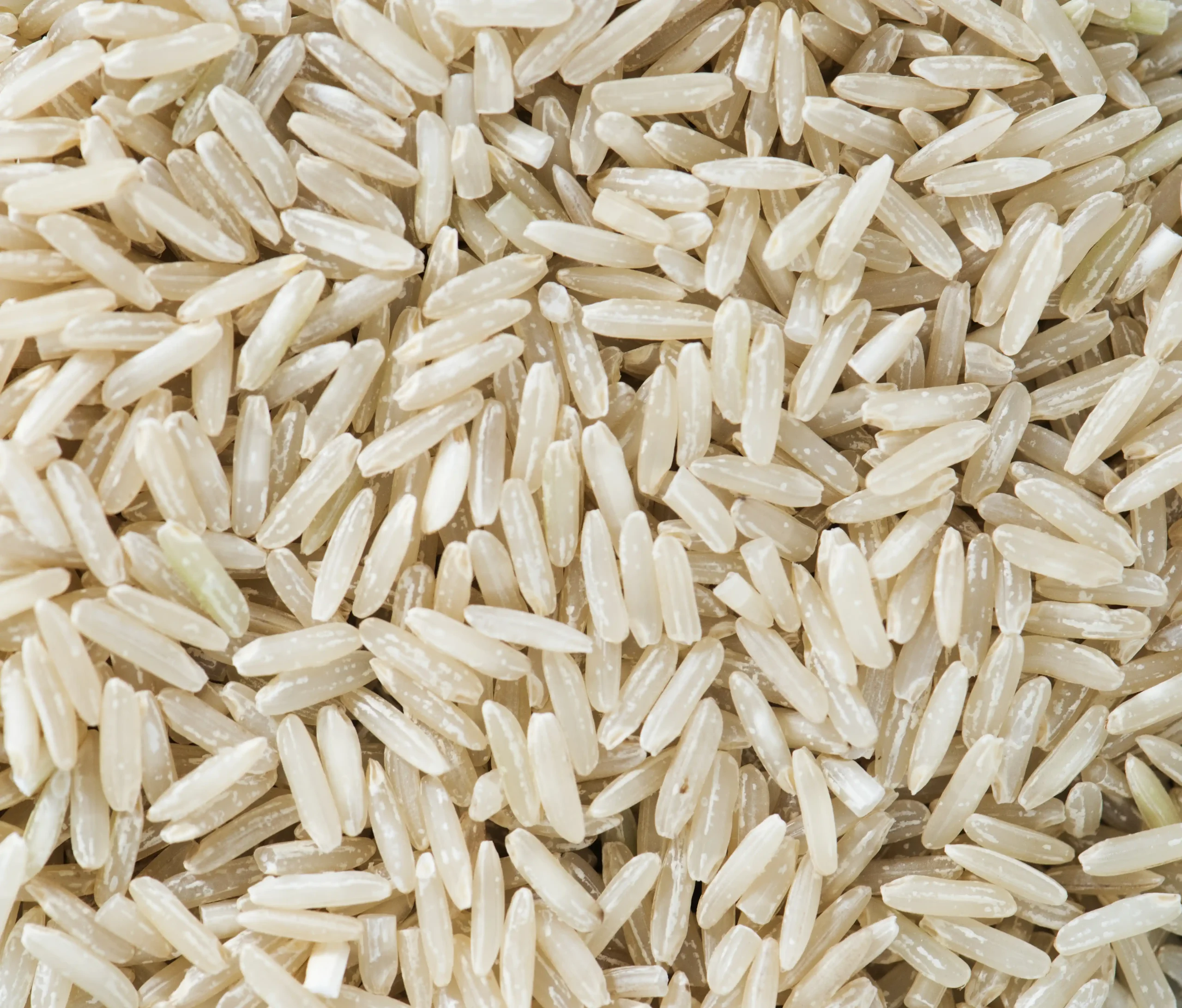 Bester Basmati Reis